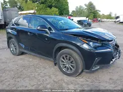JTJBARBZ1K2203098 2019 LEXUS NX