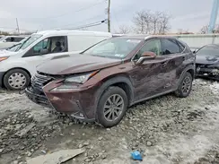 JTJBARBZ1K2206681 2019 LEXUS NX