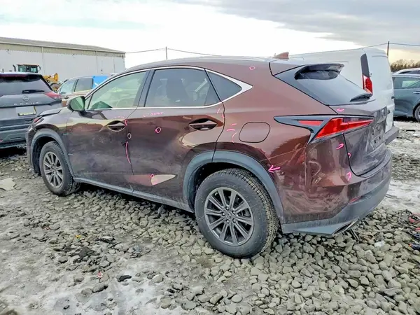 JTJBARBZ1K2206681 2019 LEXUS NX - Image 2