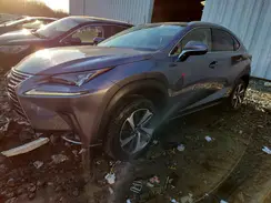 JTJBARBZ2J2150135 2018 LEXUS NX