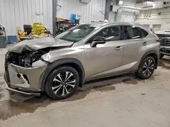 JTJBARBZ2K2179779 2019 LEXUS NX