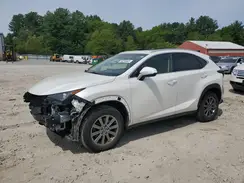 JTJBARBZ2K2179846 2019 LEXUS NX