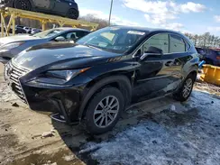 JTJBARBZ2K2181449 2019 LEXUS NX