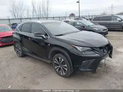 JTJBARBZ2K2204227 2019 LEXUS NX