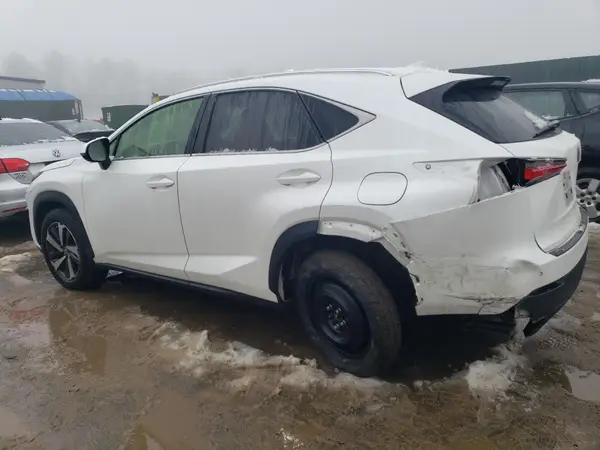 JTJBARBZ2K2206236 2019 LEXUS NX - Image 2