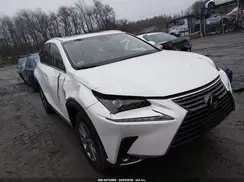 JTJBARBZ2K2210335 2019 LEXUS NX