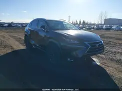 JTJBARBZ3G2076507 2016 LEXUS NX