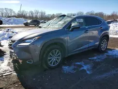 JTJBARBZ3H2097925 2017 LEXUS NX