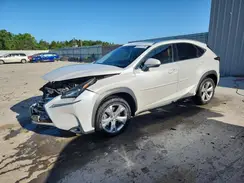 JTJBARBZ3H2104873 2017 LEXUS NX