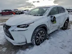 JTJBARBZ3H2121172 2017 LEXUS NX