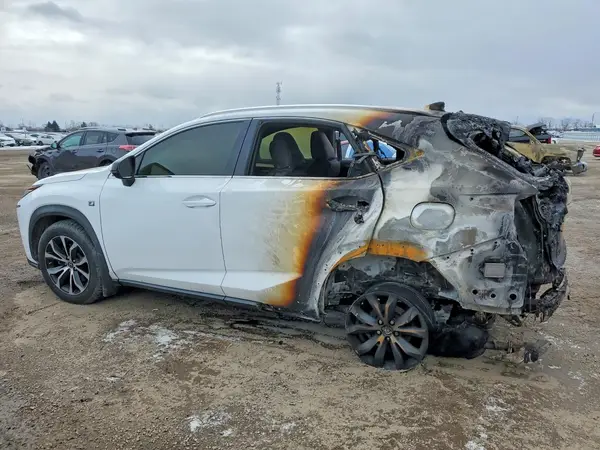 JTJBARBZ3H2126629 2017 LEXUS NX - Image 2