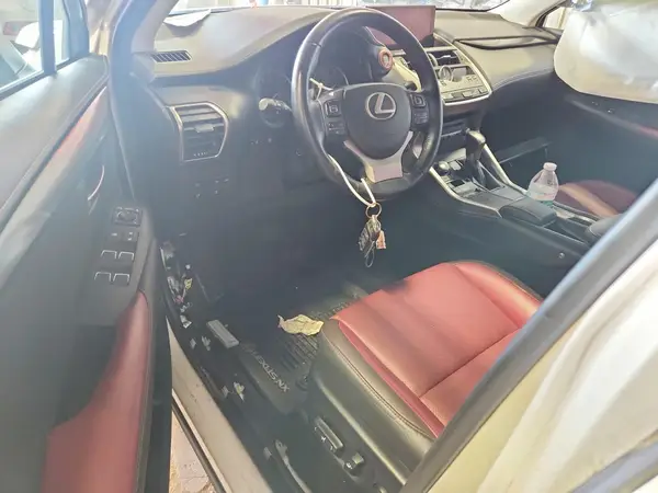 JTJBARBZ3J2166246 2018 LEXUS NX - Image 8