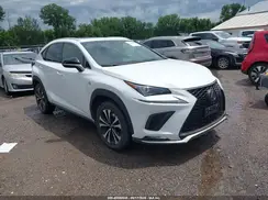 JTJBARBZ3K2179113 2019 LEXUS NX