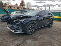 JTJBARBZ3K2183288 2019 LEXUS NX