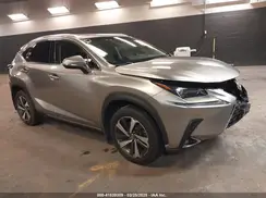 JTJBARBZ3K2184568 2019 LEXUS NX