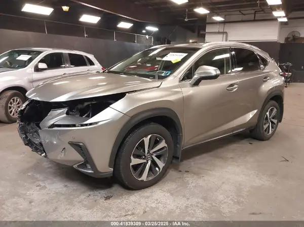 JTJBARBZ3K2184568 2019 LEXUS NX - Image 2