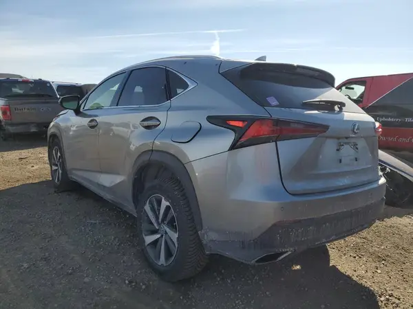 JTJBARBZ3K2184795 2019 LEXUS NX - Image 2