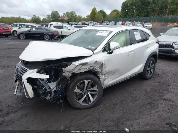 JTJBARBZ3K2185512 2019 LEXUS NX - Image 2