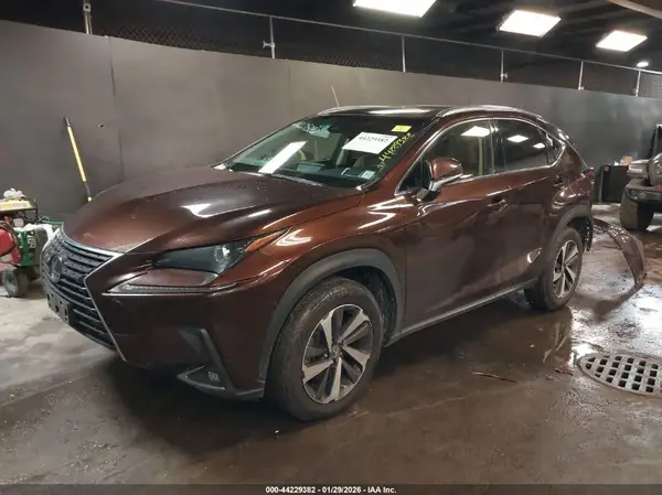 JTJBARBZ3K2188877 2019 LEXUS NX - Image 2
