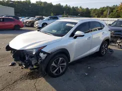 JTJBARBZ3K2189088 2019 LEXUS NX