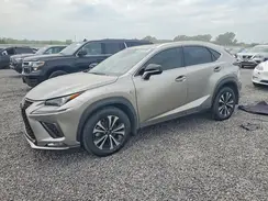 JTJBARBZ3K2189270 2019 LEXUS NX