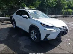 JTJBARBZ3K2189608 2019 LEXUS NX
