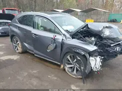 JTJBARBZ3K2194159 2019 LEXUS NX