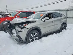 JTJBARBZ3K2195974 2019 LEXUS NX