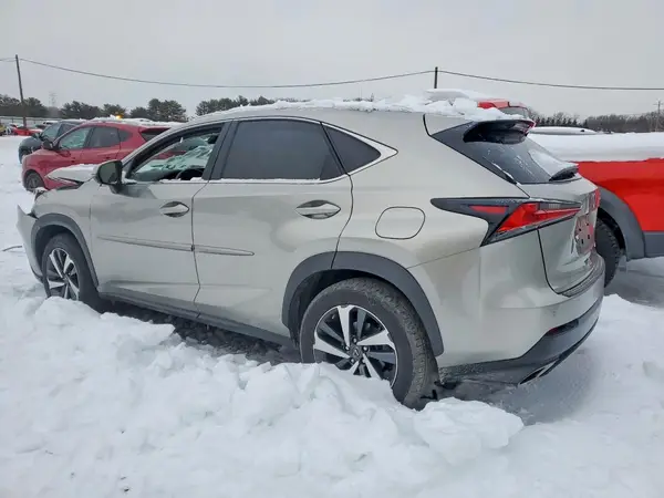JTJBARBZ3K2195974 2019 LEXUS NX - Image 2