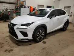 JTJBARBZ3K2200381 2019 LEXUS NX