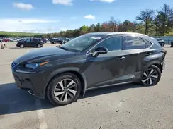 JTJBARBZ3K2203877 2019 LEXUS NX