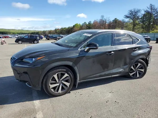 JTJBARBZ3K2203877 2019 LEXUS NX - Image 1
