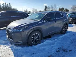 JTJBARBZ4G2047307 2016 LEXUS NX