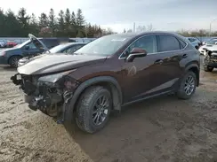 JTJBARBZ4G2071476 2016 LEXUS NX