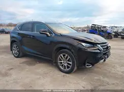 JTJBARBZ4G2085667 2016 LEXUS NX
