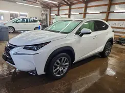 JTJBARBZ4G2086060 2016 LEXUS NX