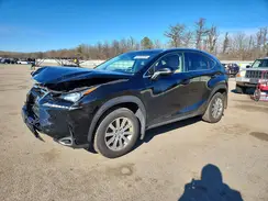 JTJBARBZ4G2087337 2016 LEXUS NX