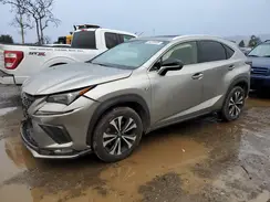 JTJBARBZ4J2160553 2018 LEXUS NX