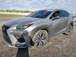 JTJBARBZ4K2180187 2019 LEXUS NX