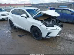 JTJBARBZ4K2183378 2019 LEXUS NX