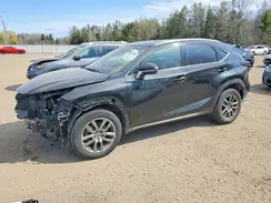 JTJBARBZ4K2190234 2019 LEXUS NX