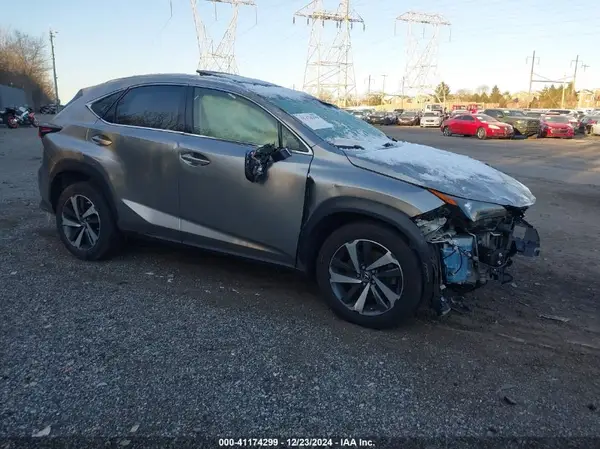JTJBARBZ4K2192498 2019 LEXUS NX - Image 1