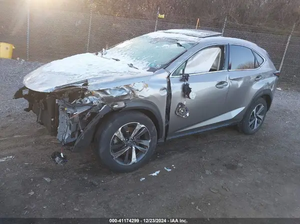 JTJBARBZ4K2192498 2019 LEXUS NX - Image 2
