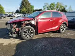 JTJBARBZ4K2194204 2019 LEXUS NX