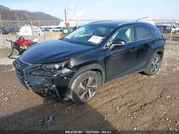 JTJBARBZ4K2196907 2019 LEXUS NX - Image 2