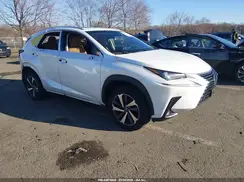 JTJBARBZ4K2199953 2019 LEXUS NX