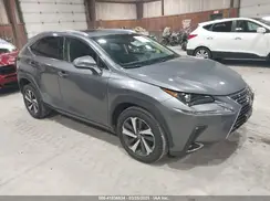 JTJBARBZ4K2202933 2019 LEXUS NX