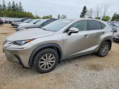JTJBARBZ4K2204679 2019 LEXUS NX