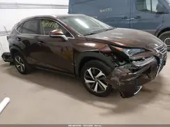 JTJBARBZ4K2207839 2019 LEXUS NX