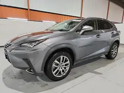 JTJBARBZ4K2210630 2019 LEXUS NX